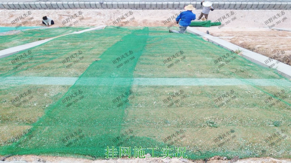 潮惠高速揭陽(yáng)段高速公路邊坡植草 潮惠高速揭陽(yáng)段高速公路邊坡植草