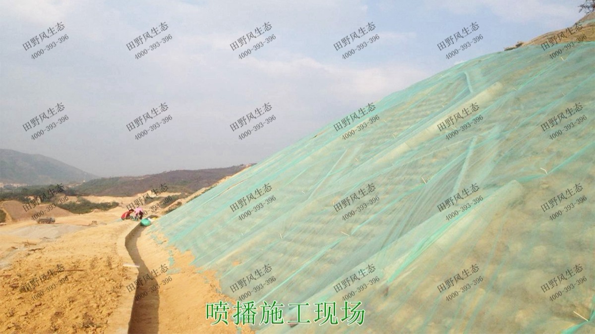 潮惠高速揭陽(yáng)段高速公路邊坡植草 潮惠高速揭陽(yáng)段高速公路邊坡植草