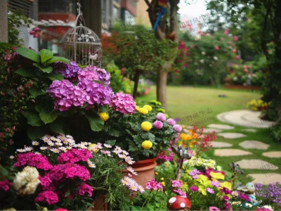 庭院秋天種什么花種子好？