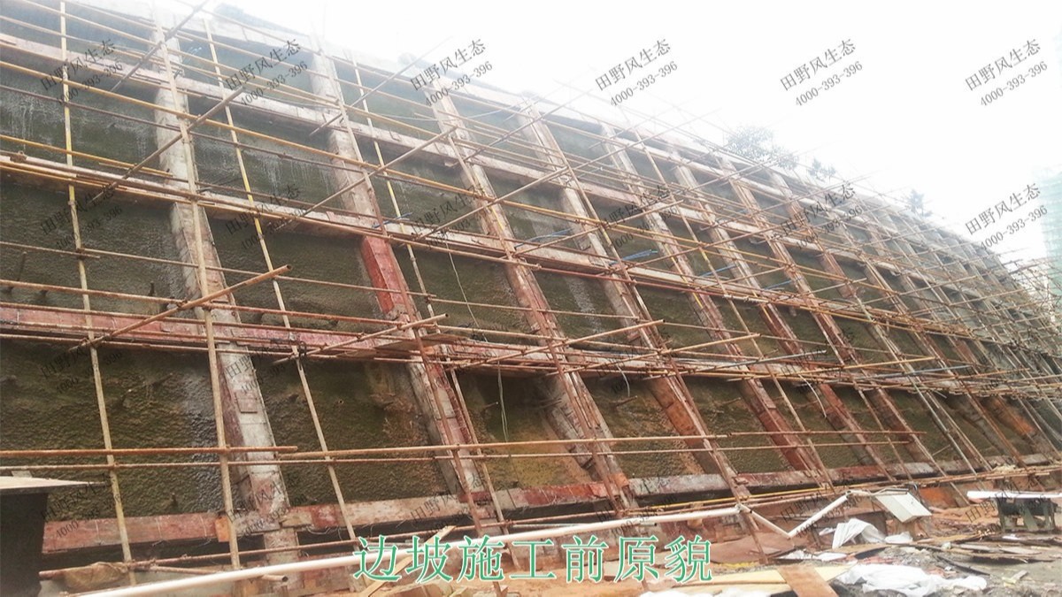 廣東清遠(yuǎn)美林基業(yè)地產(chǎn)邊坡復(fù)綠 廣東清遠(yuǎn)美林基業(yè)地產(chǎn)邊坡復(fù)綠