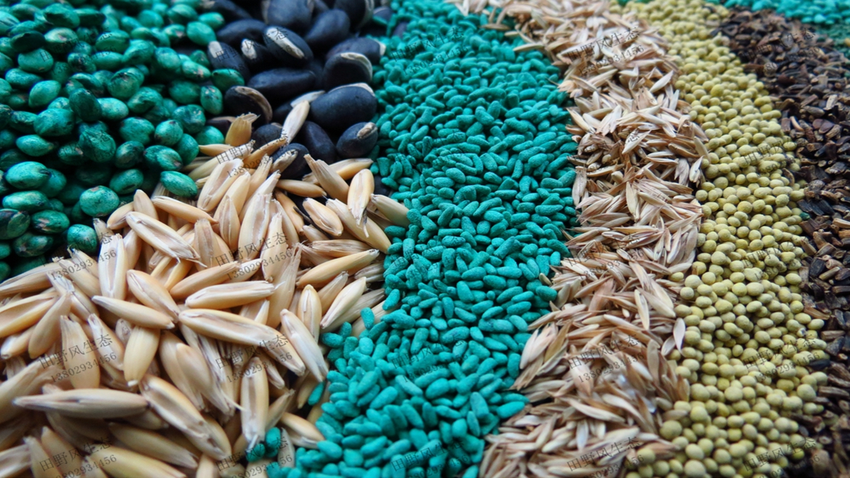 草坪草種選擇 草坪草種選擇