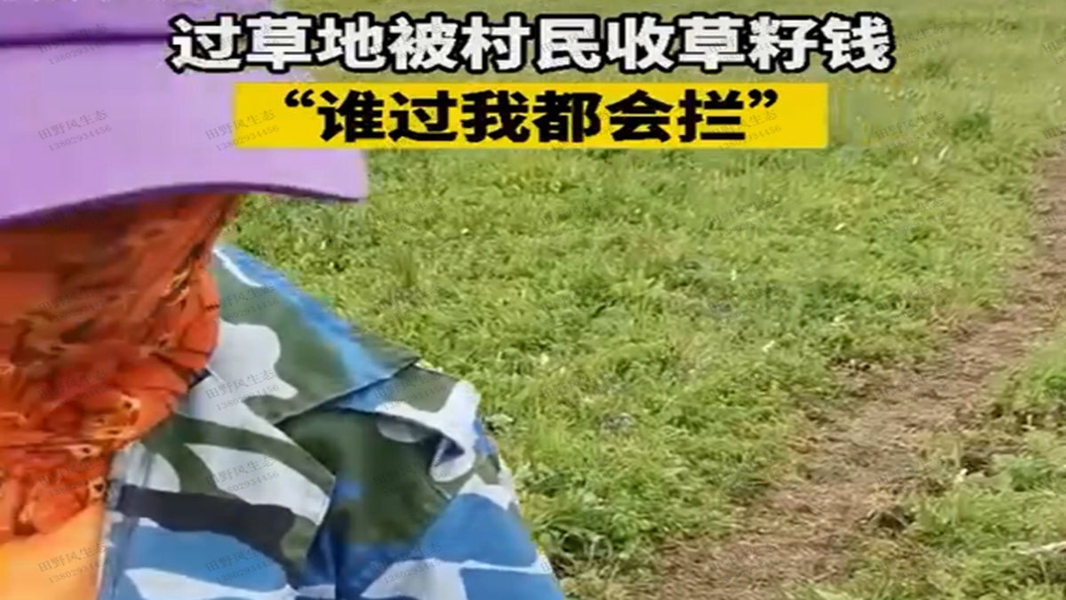 草坪收草籽錢(qián)