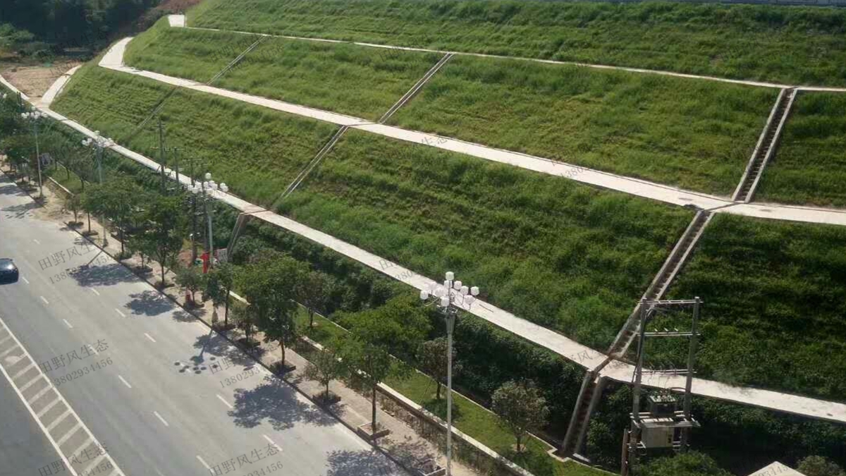 公路邊坡綠化 公路邊坡綠化