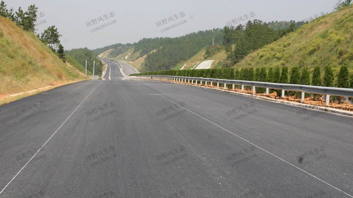 道路綠化 道路綠化