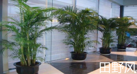 u=2294346335,989525472&fm=26&gp=0_副本 u=2294346335,989525472&fm=26&gp=0_副本