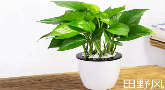 v2-cf2d43ba69586d1348a86c75992bf1c0_720w_副本 v2-cf2d43ba69586d1348a86c75992bf1c0_720w_副本