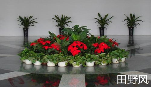 4s3_副本 4s3_副本