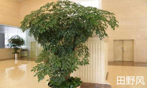 4s2_副本 4s2_副本