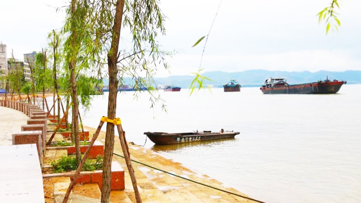 紫金縣秋香江河道河堤邊坡綠化工程 紫金縣秋香江河道河堤邊坡綠化工程