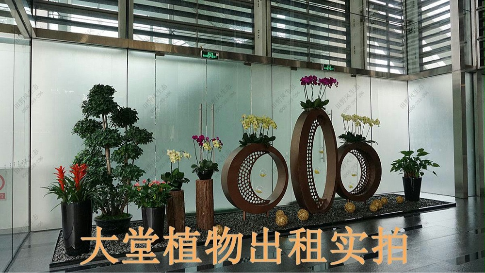 廣州保利國(guó)際廣場(chǎng)植物出租案例 廣州保利國(guó)際廣場(chǎng)植物出租案例