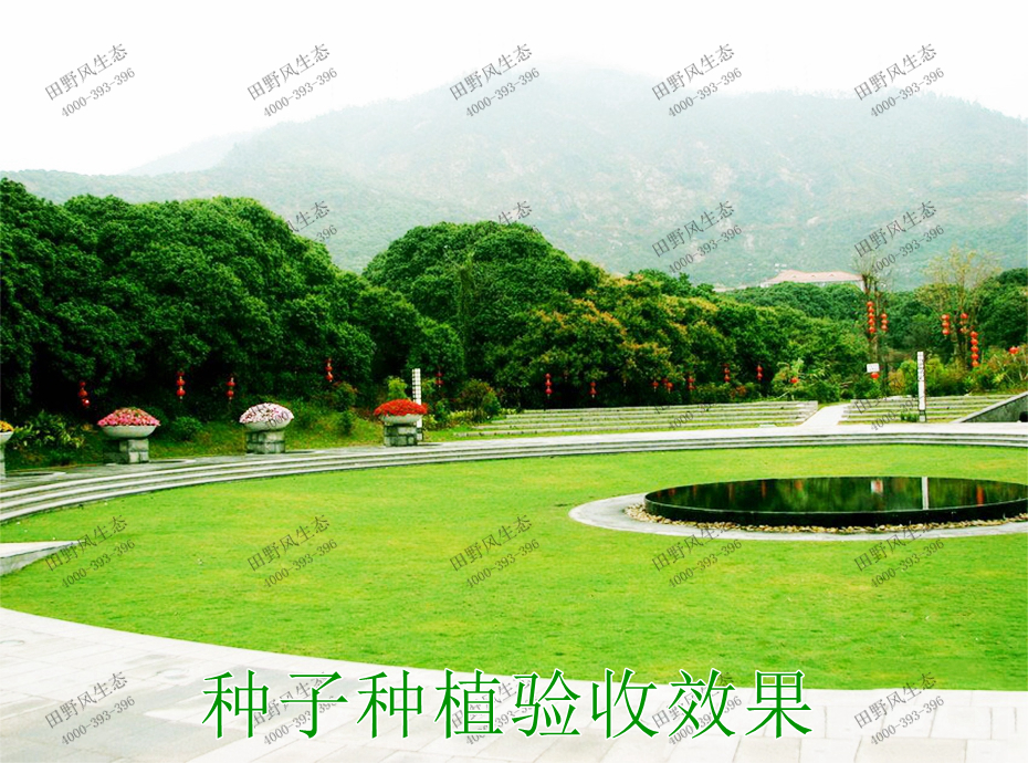 8種子種植驗(yàn)收效果 8種子種植驗(yàn)收效果