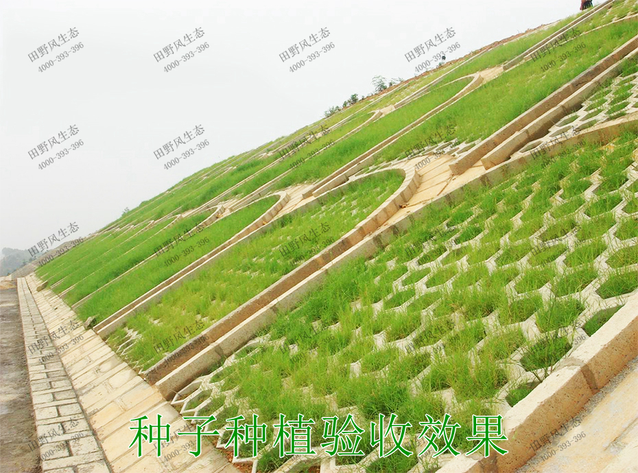 2種子種植驗(yàn)收效果 2種子種植驗(yàn)收效果