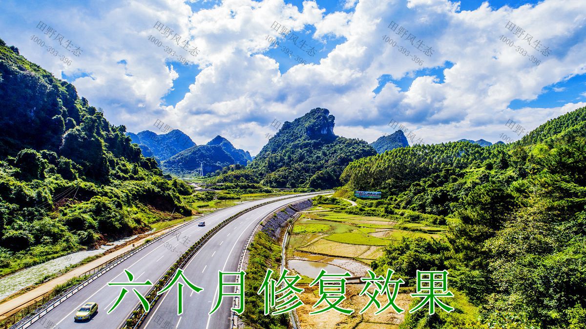 邊坡修復(fù) 邊坡修復(fù)