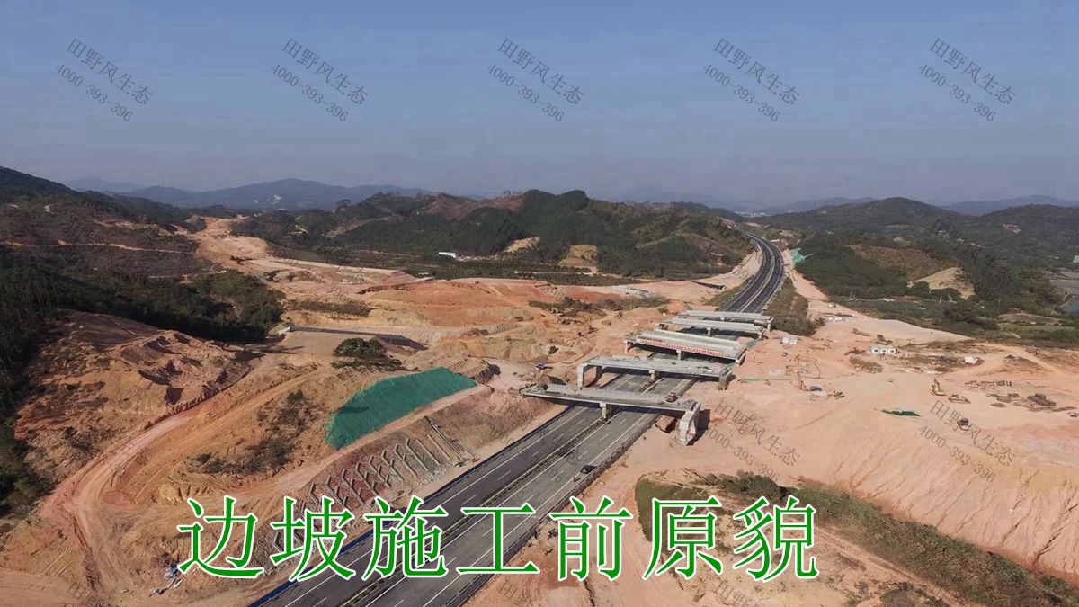 邊坡修復(fù) 邊坡修復(fù)