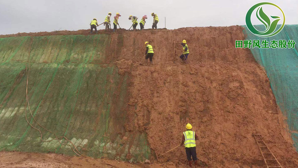 邊坡植草復綠,噴播種草復綠