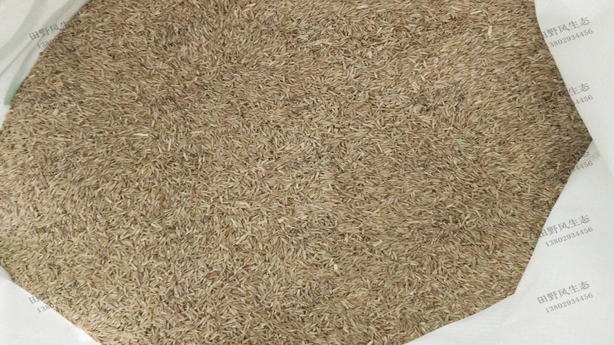 如何才能買到優(yōu)質(zhì)草坪草種子？