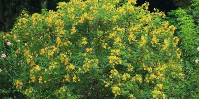 bd135d8a-37a9-ea11-8da3-20040ff9d71d bd135d8a-37a9-ea11-8da3-20040ff9d71d