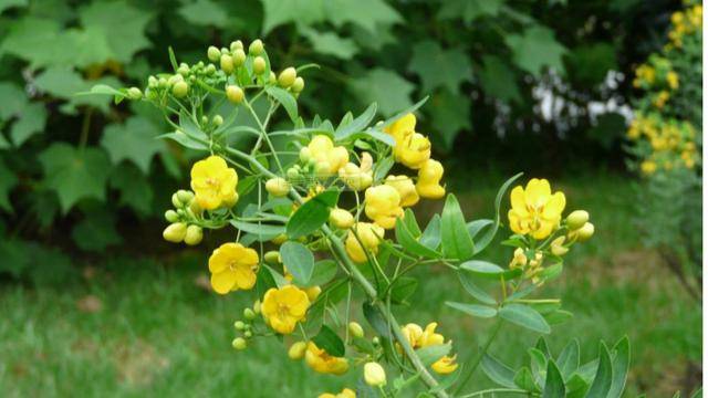 bf135d8a-37a9-ea11-8da3-20040ff9d71d bf135d8a-37a9-ea11-8da3-20040ff9d71d