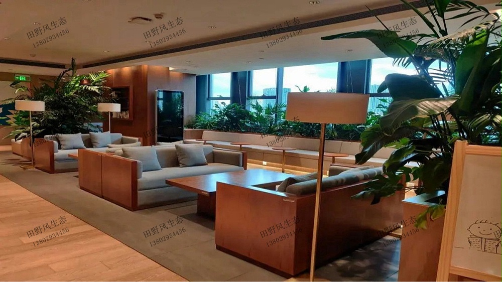 廣州廣商中心大廈盆栽租賃案例 廣州廣商中心大廈盆栽租賃案例