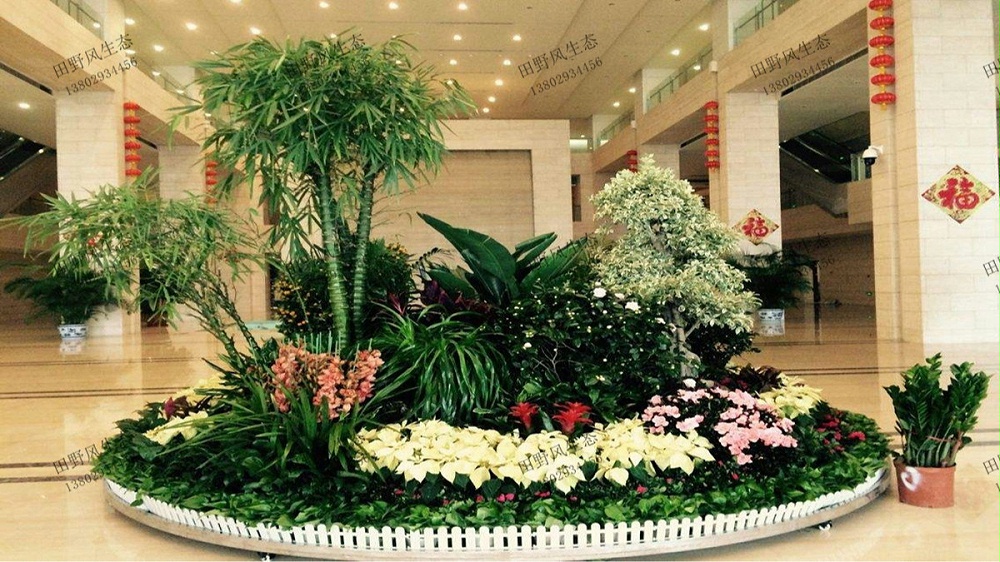 廣州廣商中心大廈盆栽租賃案例 廣州廣商中心大廈盆栽租賃案例