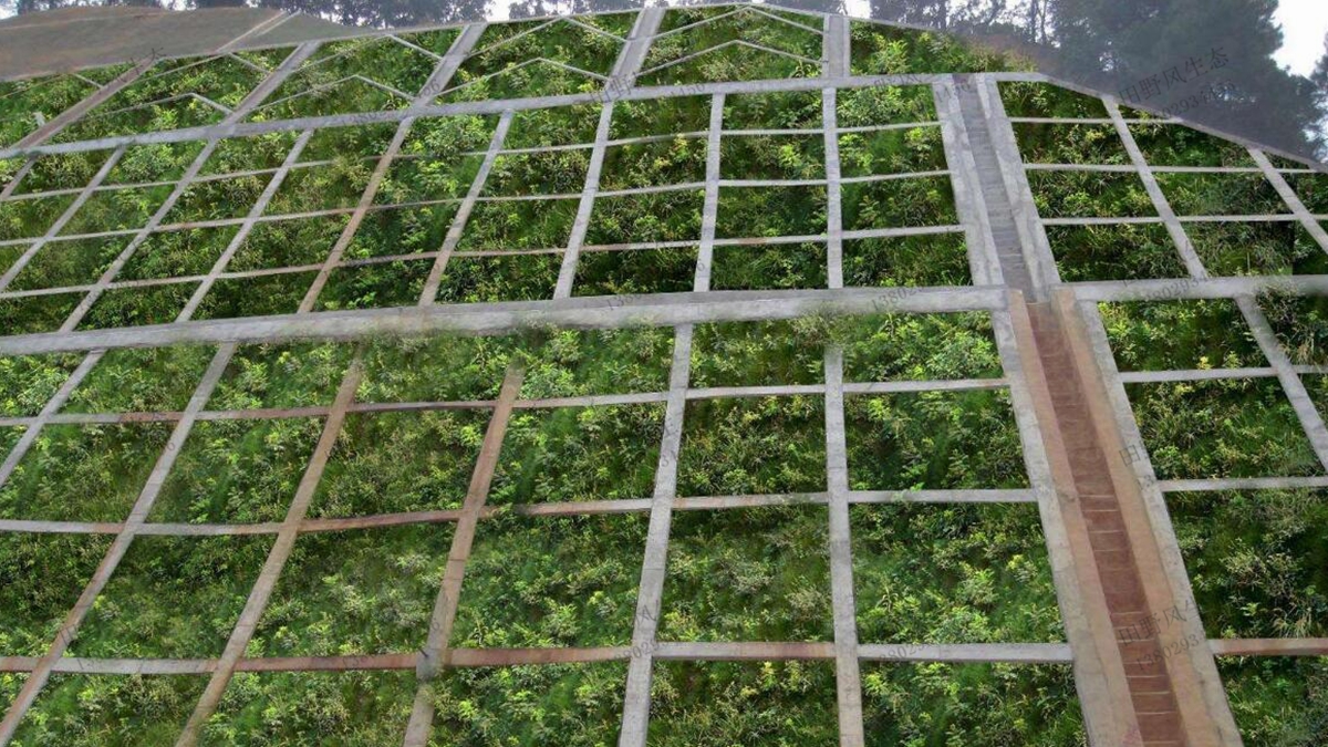 邊坡綠化 邊坡綠化