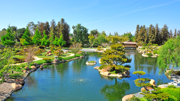 綠化工程施工需要注意什么？田野風(fēng)為您詳細(xì)解答