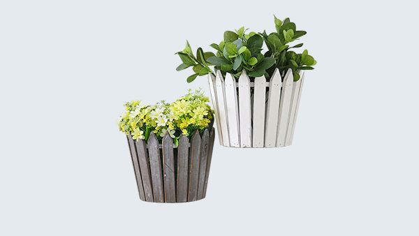 辦公室適合養(yǎng)什么植物？且聽(tīng)田野風(fēng)娓娓道來(lái)