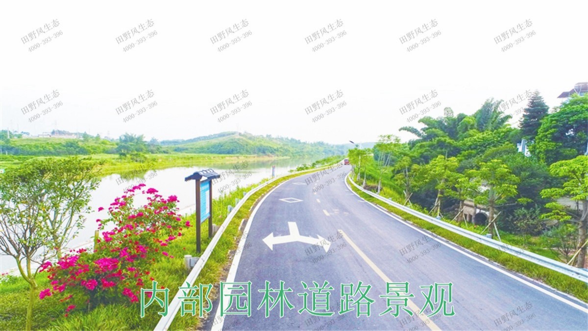 廣東河源國道綠化美化市政工程 廣東河源國道綠化美化市政工程