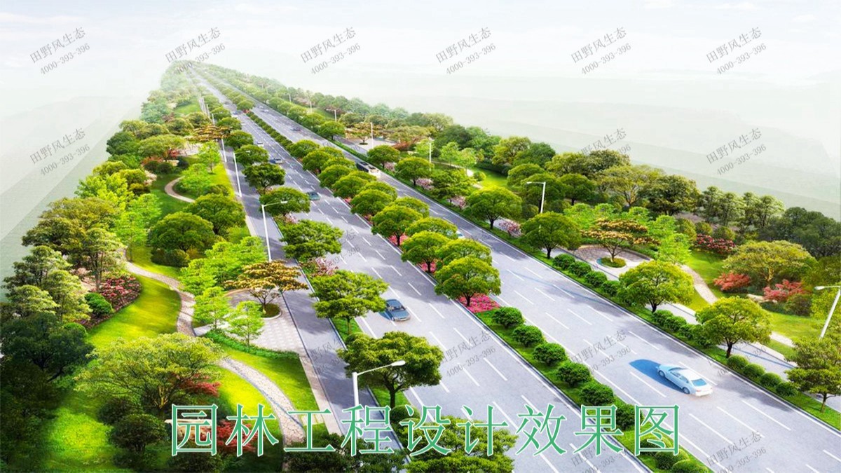 廣東河源紫金省道綠化美化市政工程 廣東河源紫金省道綠化美化市政工程