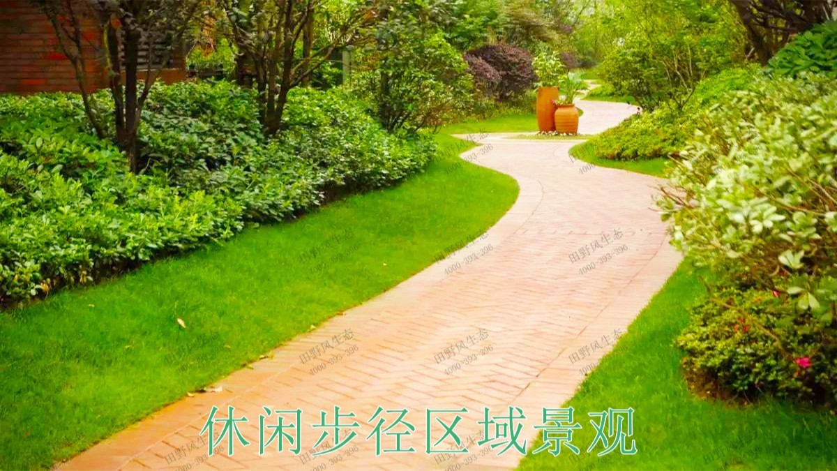 廣東河源紫金省道綠化美化市政工程 廣東河源紫金省道綠化美化市政工程