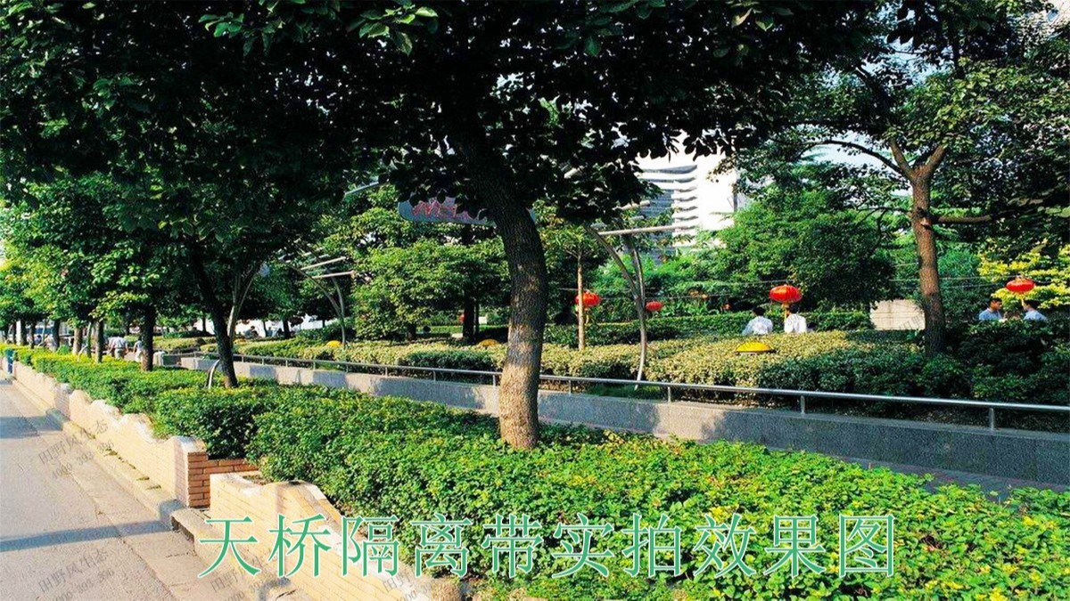 廣東河源紫金省道綠化美化市政工程 廣東河源紫金省道綠化美化市政工程