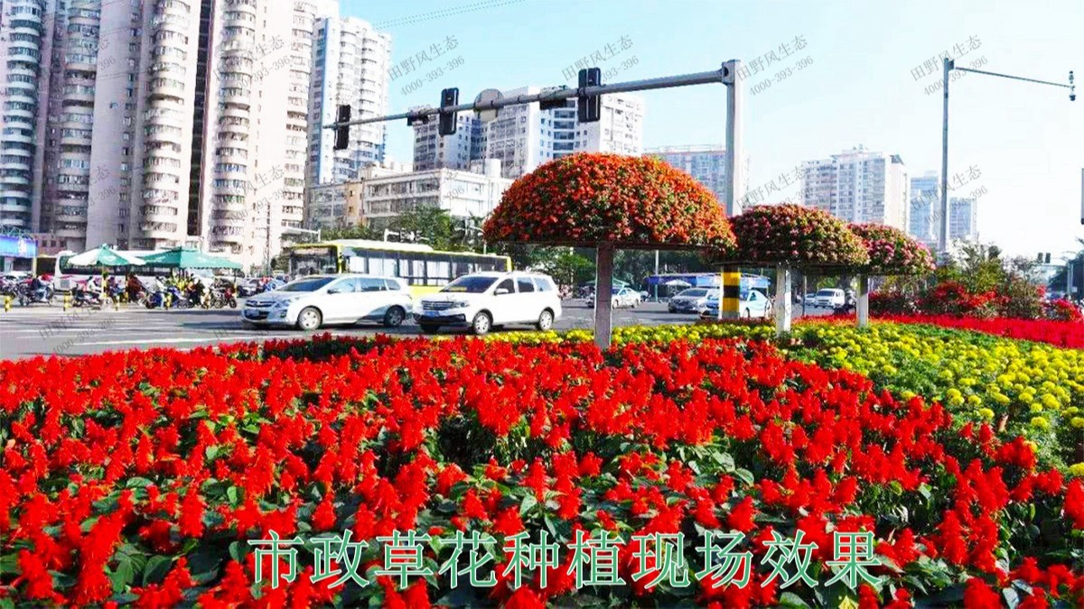 廣東惠州市政景觀園林工程 廣東惠州市政景觀園林工程