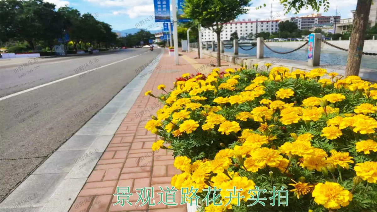 廣東惠州四環(huán)路園林景觀工程 廣東惠州四環(huán)路園林景觀工程
