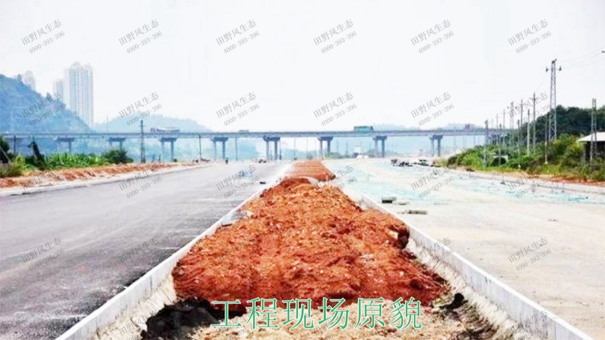 江門(mén)逢江區(qū)園林景觀花卉園林綠化 江門(mén)逢江區(qū)園林景觀花卉園林綠化