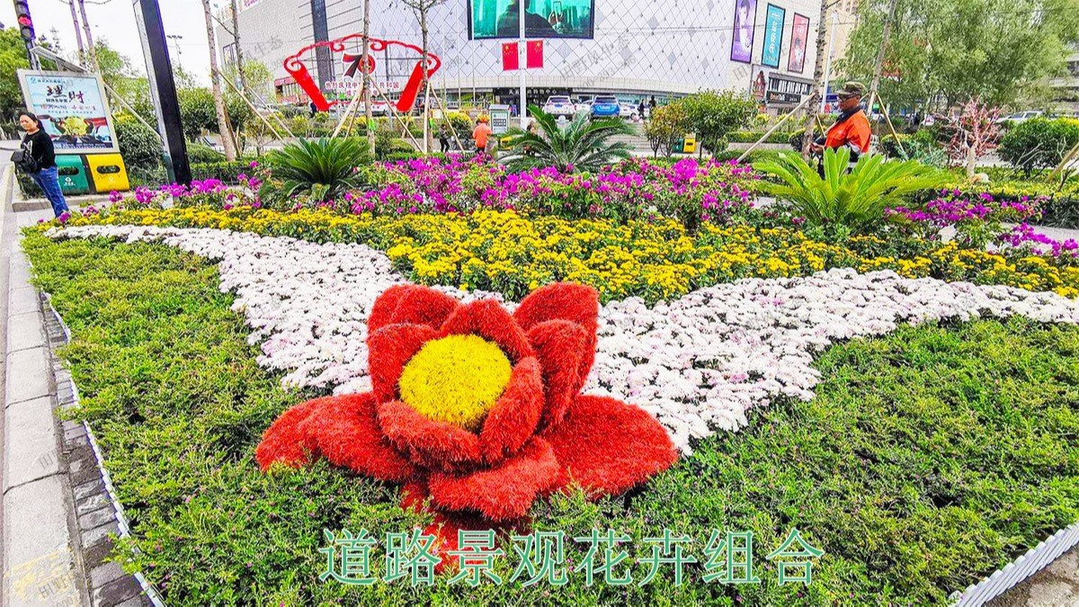 江門(mén)逢江區(qū)園林景觀花卉園林綠化 江門(mén)逢江區(qū)園林景觀花卉園林綠化