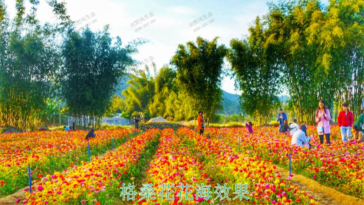 蕉嶺縣美麗鄉(xiāng)村工程項(xiàng)目 蕉嶺縣美麗鄉(xiāng)村工程項(xiàng)目