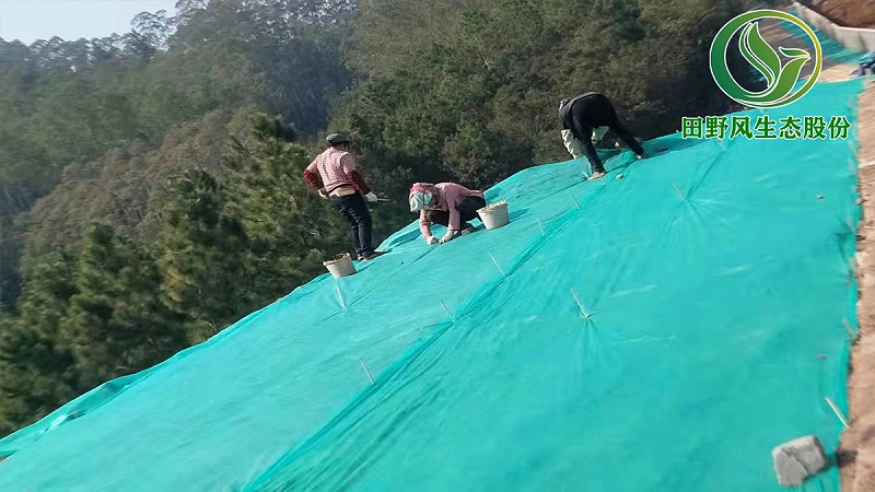 廠區(qū)復(fù)綠,養(yǎng)豬場(chǎng)綠化