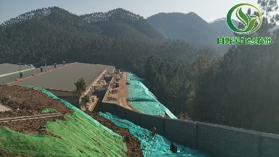 寒冬臘月雖冷,田野風(fēng)綠化人熱情更盛！