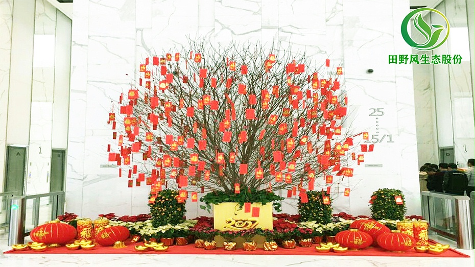 企業(yè)集團(tuán)年花訂購(gòu),企業(yè)大廳年花采購(gòu)