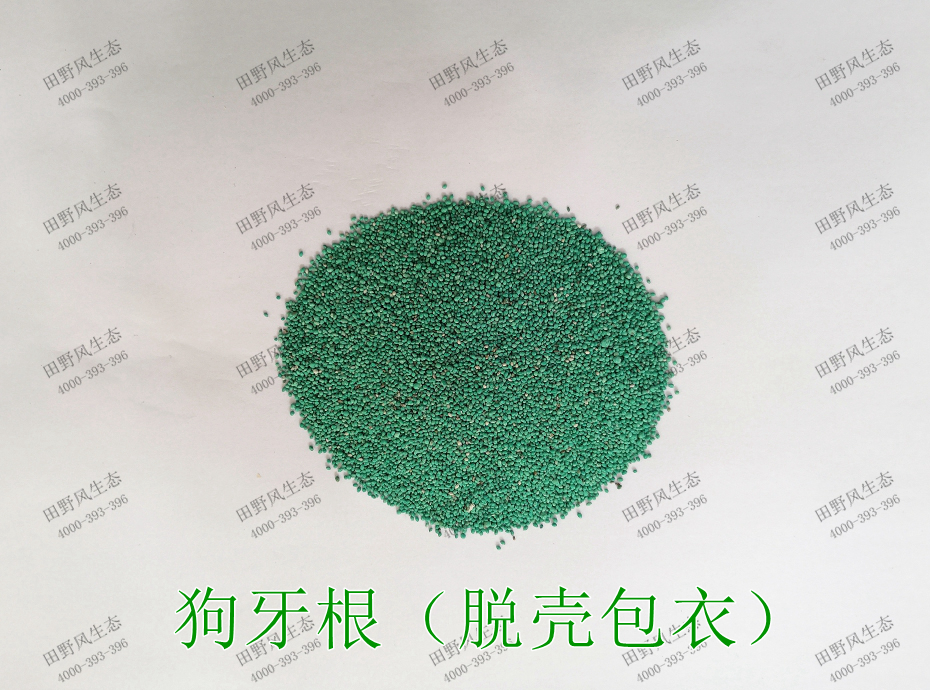 4狗牙根(脫殼包衣) 4狗牙根(脫殼包衣)