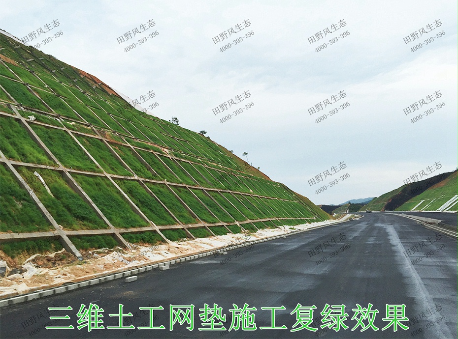 10三維土工網(wǎng)墊施工復(fù)綠效果 10三維土工網(wǎng)墊施工復(fù)綠效果