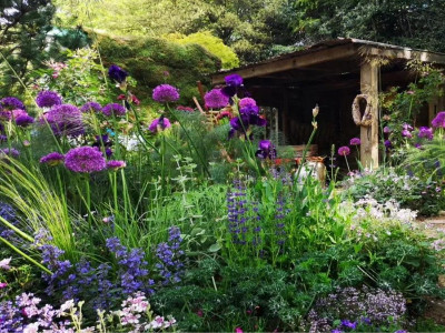 有哪些適合冬季養(yǎng)殖的花卉？