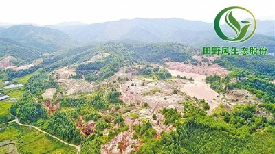 江西“稀土王國”寸草不生，努力彌補生態(tài)欠賬