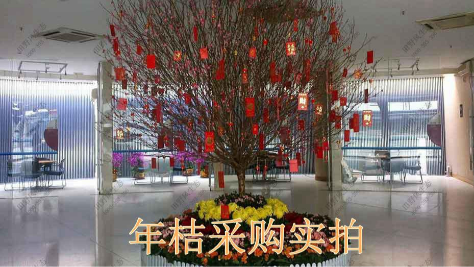 廣州萬達廣場年花訂購配送服務(wù) 廣州萬達廣場年花訂購配送服務(wù)