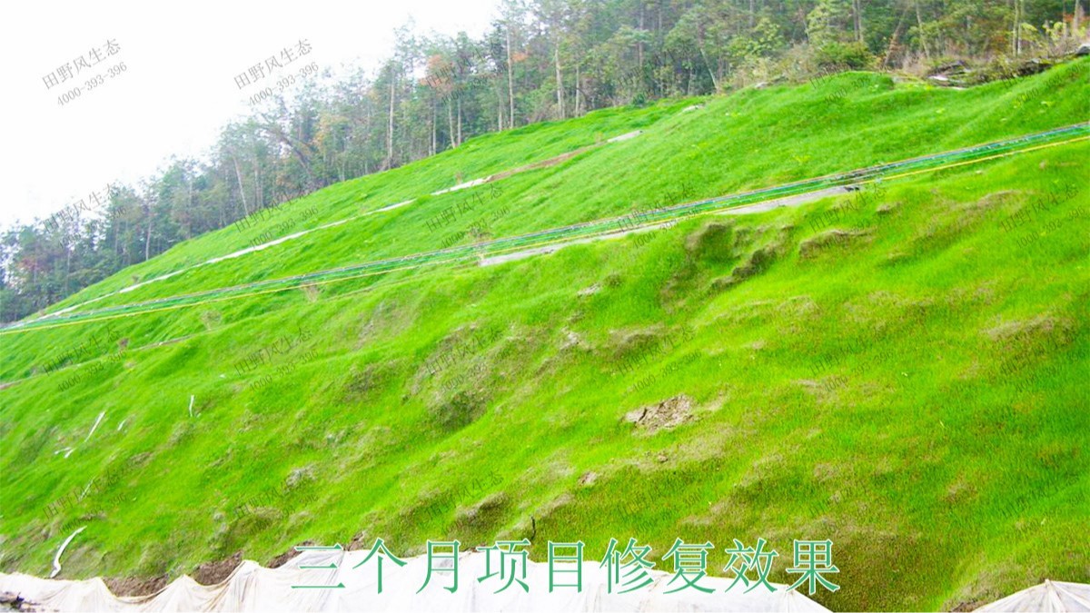 包茂高速高州段高速公路邊坡噴播工程 包茂高速高州段高速公路邊坡噴播工程