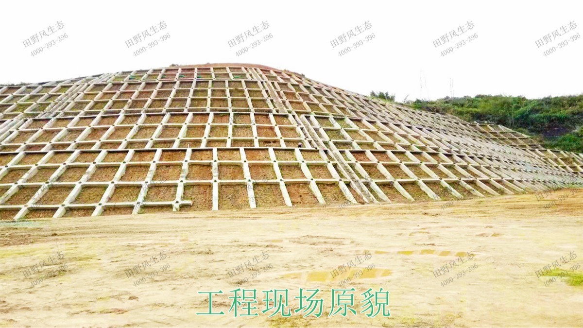 興汕高速梅州段公路邊坡掛網(wǎng)噴播工程 興汕高速梅州段公路邊坡掛網(wǎng)噴播工程