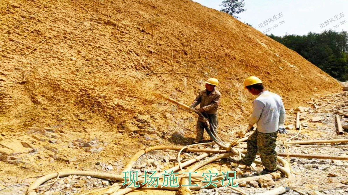 興汕高速梅州段公路邊坡掛網(wǎng)噴播工程 興汕高速梅州段公路邊坡掛網(wǎng)噴播工程