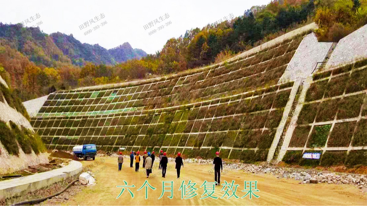 興汕高速梅州段公路邊坡掛網(wǎng)噴播工程 興汕高速梅州段公路邊坡掛網(wǎng)噴播工程