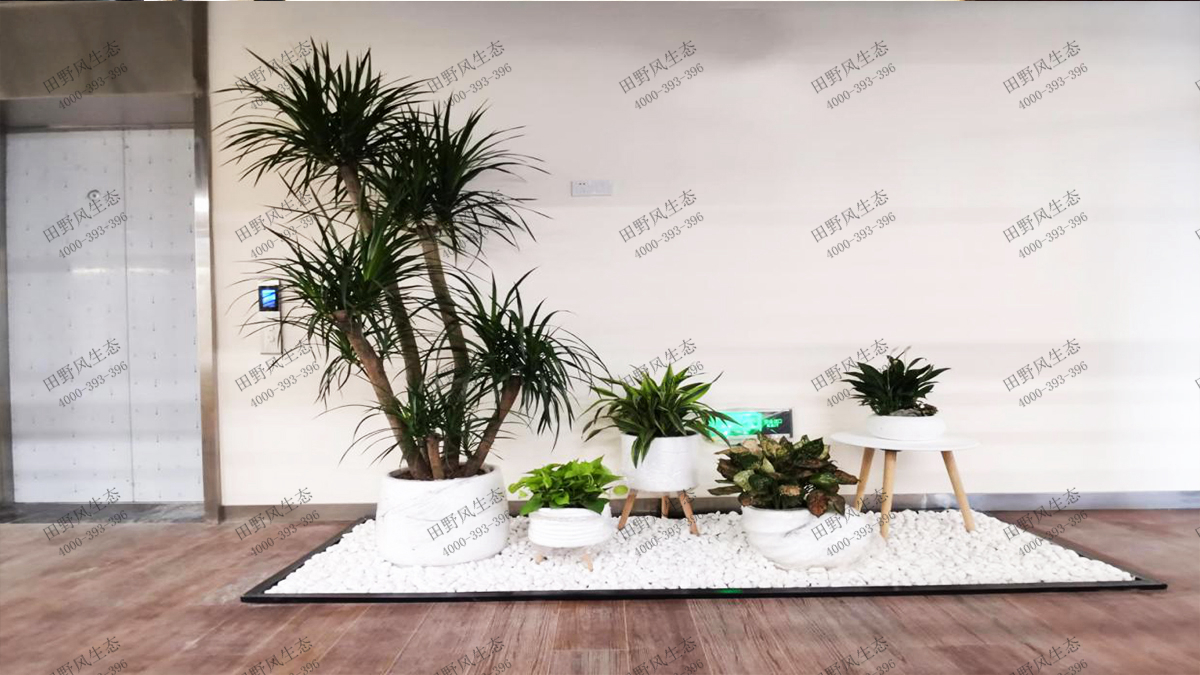 24寫(xiě)字樓創(chuàng)意組合景觀