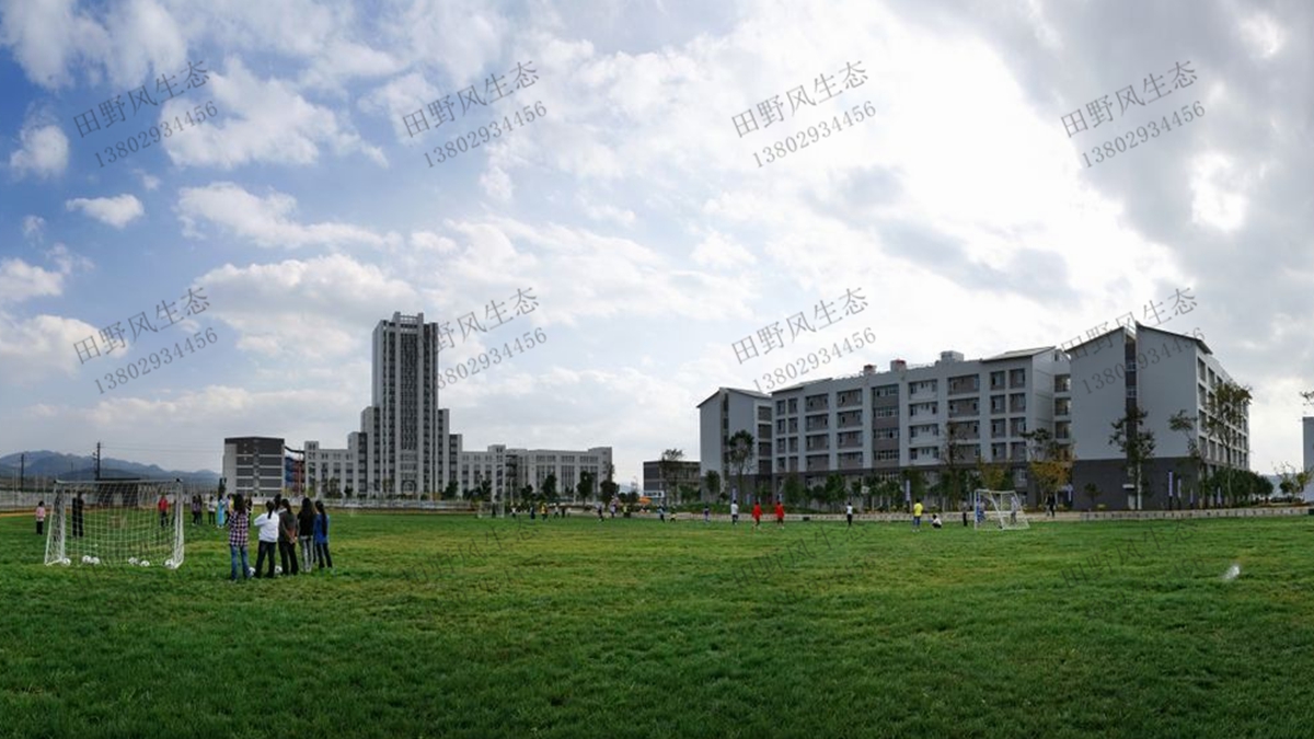 開學季到來，你所在學校的草坪草種草籽種植對了嗎？